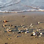 Appartamento In 24632 Bibione